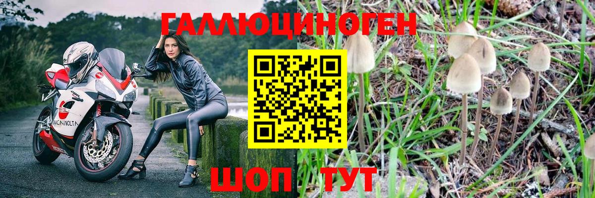 Псилоцибиновые грибы Cubensis  Вход с VPN  Галлюциногенные грибы GOLDEN TEACHER  Нижнекамск 
