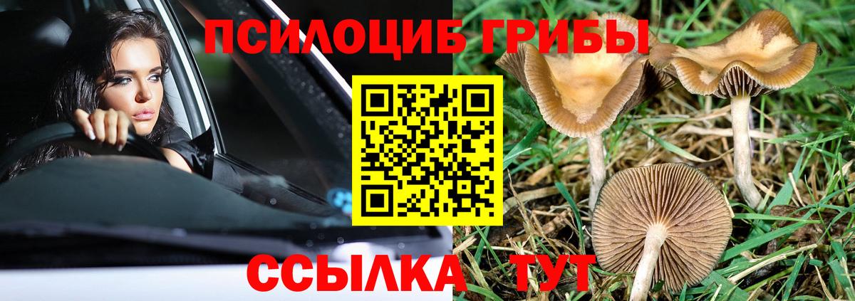 Галлюциногенные грибы мухоморы Нижнекамск