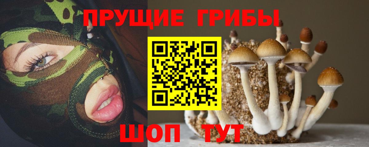 Галлюциногенные грибы Psilocybine cubensis  Нижнекамск 